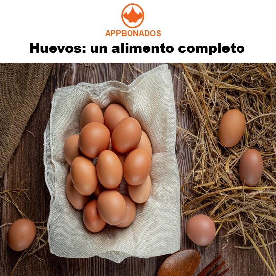 Valor nutricional del Huevo – Appbonados